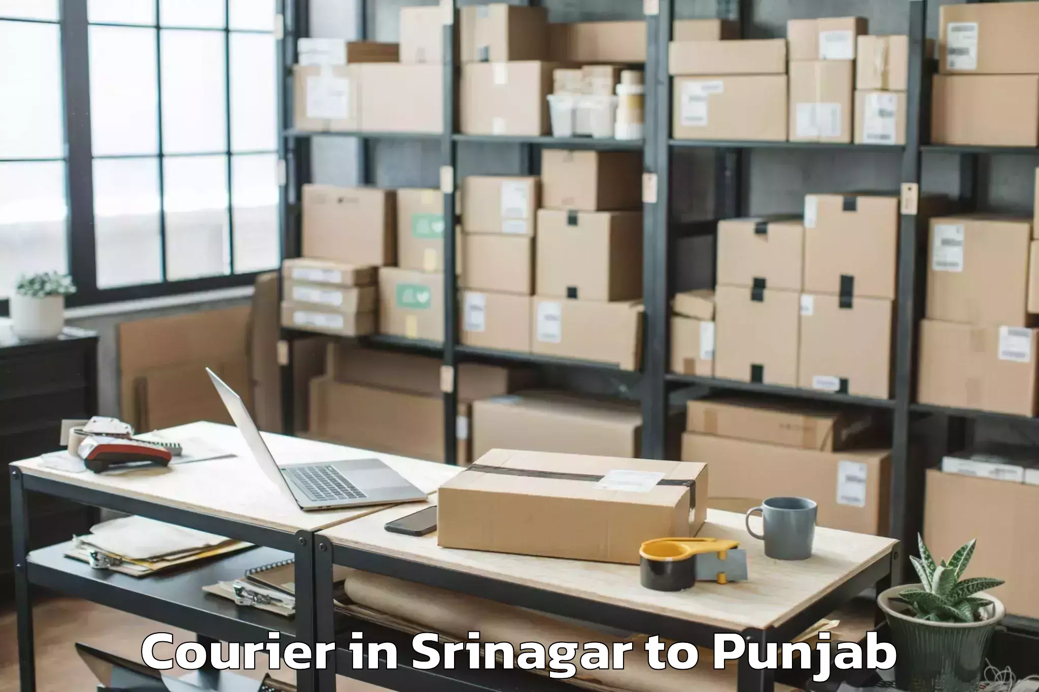 Book Srinagar to Dasua Courier Online